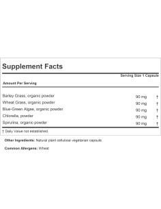 ANDREW LESSMAN Complejo de Alimentos Verdes 60 Cápsulas - Soporte Hepático y Tejidos 2