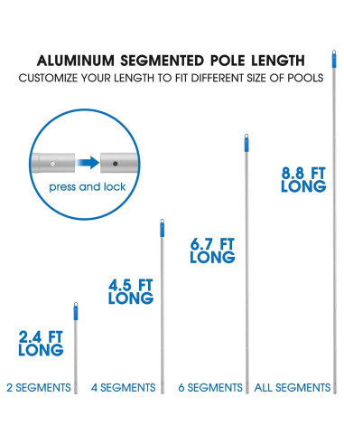 Juego de Cepillos para Piscina TidyMister 20'' con Polo 2-en-1
