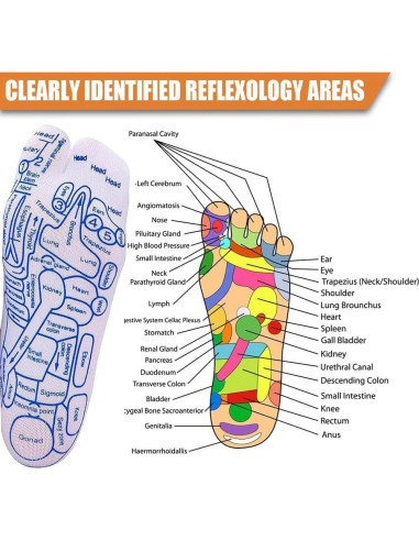 Conjunto de Calcetines de Reflexología TingHong con Herramientas