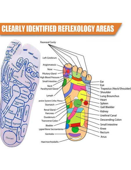 Conjunto de Calcetines de Reflexología TingHong con Herramientas