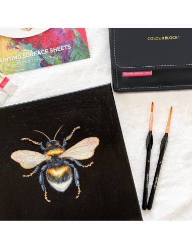 Set de Pinceles de Artista 12 Piezas Colour Block en Estuche de Cuero