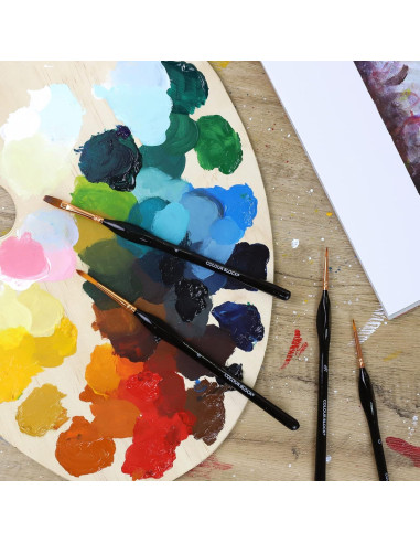 Set de Pinceles de Artista 12 Piezas Colour Block en Estuche de Cuero