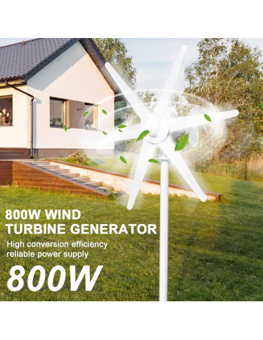Generador Eólico Hatleues 800W 24V 6 Palas para Hogar