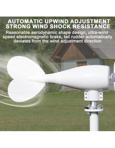 Generador Eólico Hatleues 800W 24V 6 Palas para Hogar