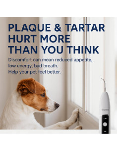 Removedor de Placa Dental SIRGAWAIN para Mascotas - Ultrasonido, 3 Modos, 4 Cabezas, Blanco 2