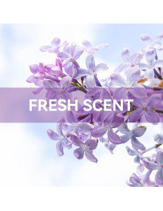 Bolsitas Aromáticas MYARO para Cajones y Armarios - 12 Unidades Lila 2