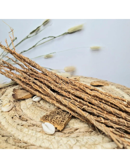 Raíces de Vetiver Africano Khamaré - 6 Tallos Grandes 30-40 cm - Detox Femenino