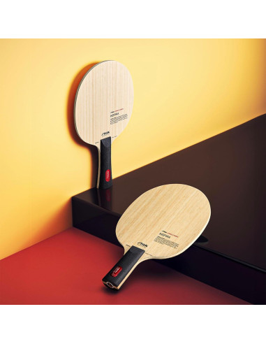 Paleta de Tenis de Mesa Stiga Inspira Híbrido Carbono 90g