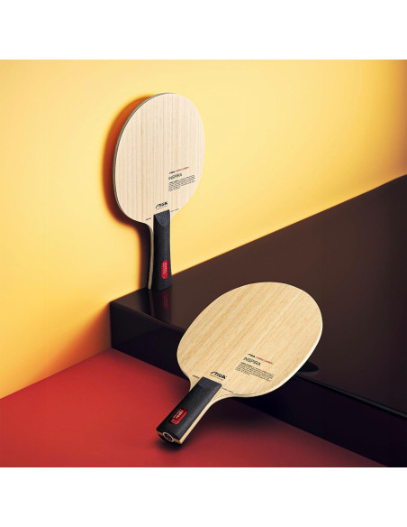 Paleta de Tenis de Mesa Stiga Inspira Híbrido Carbono 90g