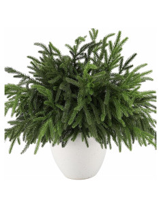 12 Ramas de Pino Norfolk Artificiales 45.72cm Wsorik