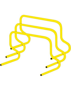 Set de Vallas de Velocidad 30 cm Great Lakes Sports - 6 Unidades 2