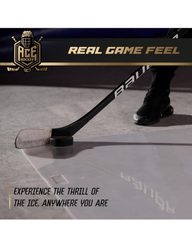 Alfombra de Tiro ACE HOCKEY 76.2x152.4 cm - Hielo Sintético