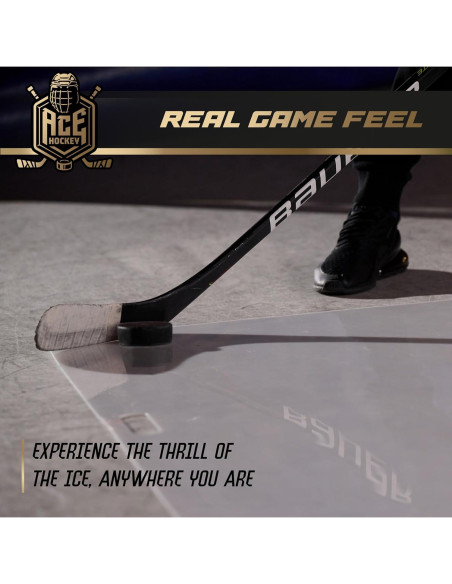 Alfombra de Tiro ACE HOCKEY 76.2x152.4 cm - Hielo Sintético