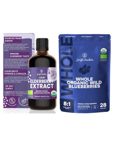 Jarabe de Sáuco Orgánico USDA 100 ml + Arándanos Liofilizados 113 g