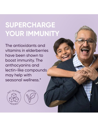 Jarabe de Sáuco Orgánico USDA 100 ml + Arándanos Liofilizados 113 g