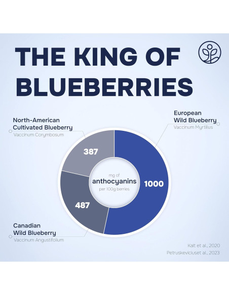 Jarabe de Sáuco Orgánico USDA 100 ml + Arándanos Liofilizados 113 g