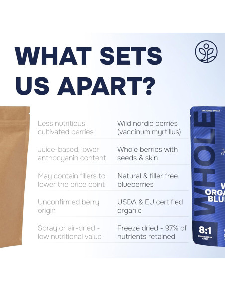 Jarabe de Sáuco Orgánico USDA 100 ml + Arándanos Liofilizados 113 g