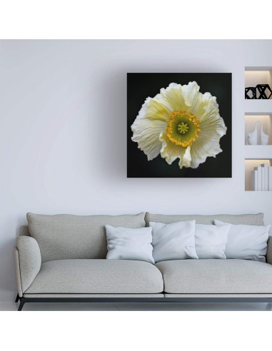 Arte en Lienzo Fabien Bravin Flor Roja 40.64x60.96 cm