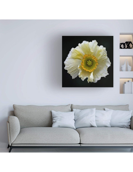 Arte en Lienzo Fabien Bravin Flor Roja 40.64x60.96 cm