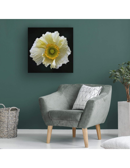 Arte en Lienzo Fabien Bravin Flor Roja 40.64x60.96 cm