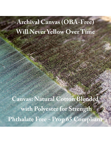 Arte en Lienzo Fabien Bravin Flor Roja 40.64x60.96 cm