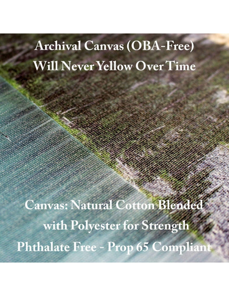 Arte en Lienzo Fabien Bravin Flor Roja 40.64x60.96 cm