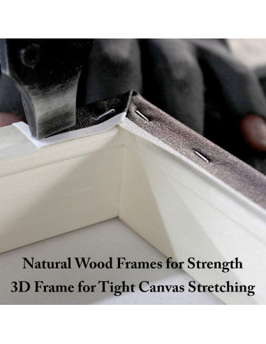 Arte en Lienzo Fabien Bravin Flor Roja 40.64x60.96 cm