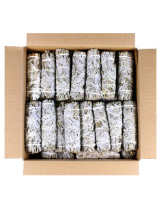 Bastones de Salvia Blanca Orgánica 10 cm - 12 Unidades