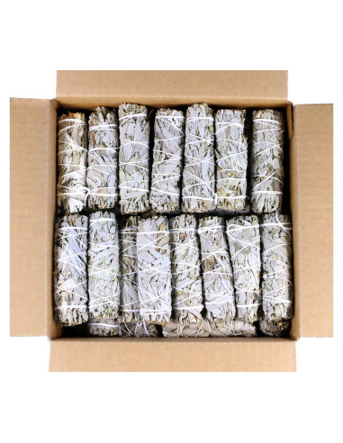 Bastones de Salvia Blanca Orgánica 10 cm - 12 Unidades