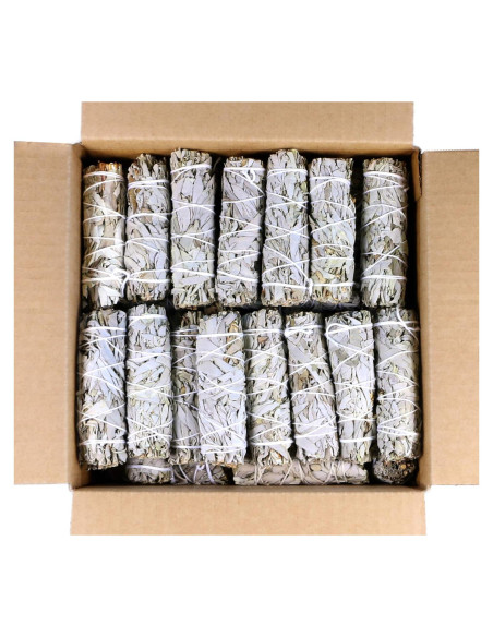 Bastones de Salvia Blanca Orgánica 10 cm - 12 Unidades