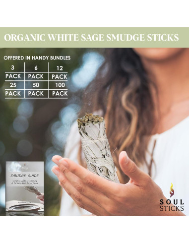 Bastones de Salvia Blanca Orgánica 10 cm - 12 Unidades