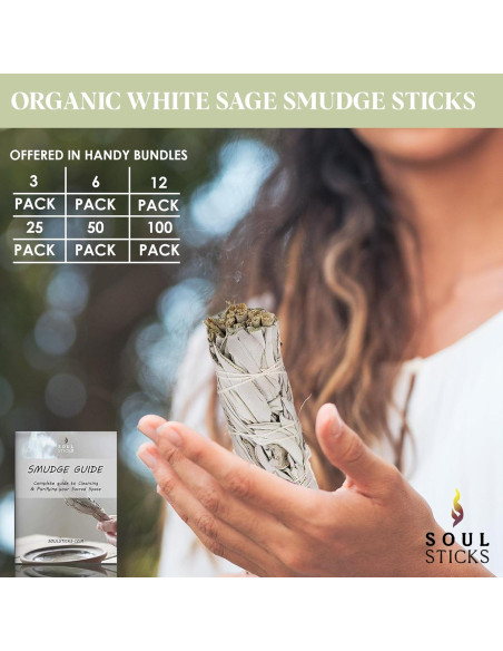 Bastones de Salvia Blanca Orgánica 10 cm - 12 Unidades