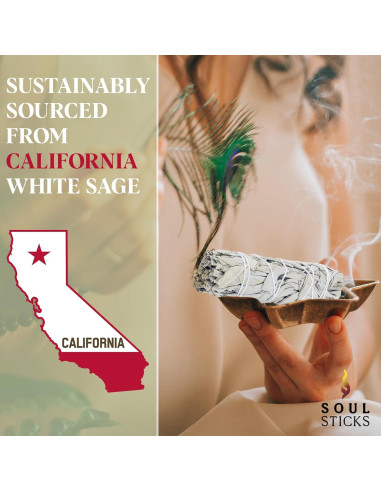 Bastones de Salvia Blanca Orgánica 10 cm - 12 Unidades