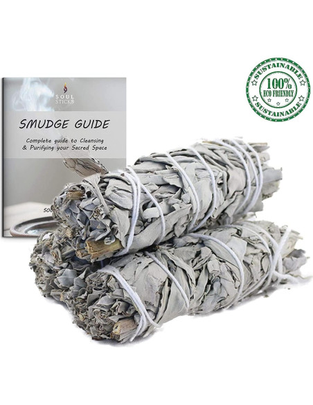 Bastones de Salvia Blanca Orgánica 10 cm - 12 Unidades