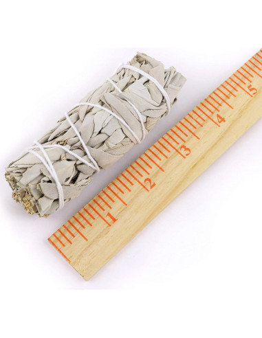 Bastones de Salvia Blanca Orgánica 10 cm - 12 Unidades