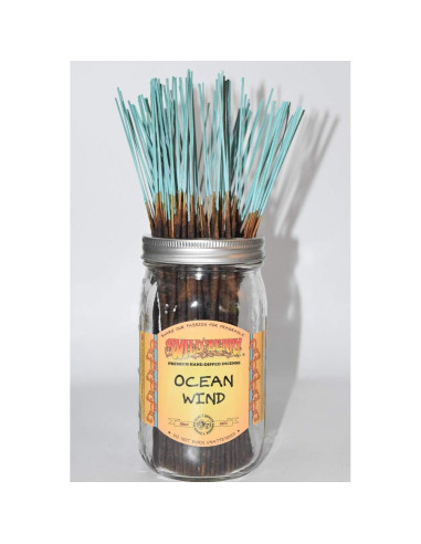 Incienso de Bayas Silvestres - 12 Varitas - Aroma Cítrico