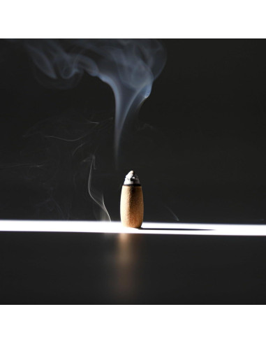 Conos de Incienso de Retroceso Patchouli Bless International - 20 Unidades