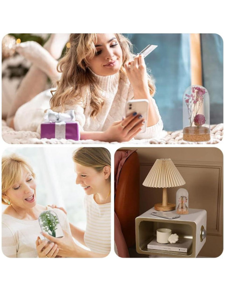 Campanas de Vidrio PH PandaHall 4 Piezas 4.7x8.5 cm