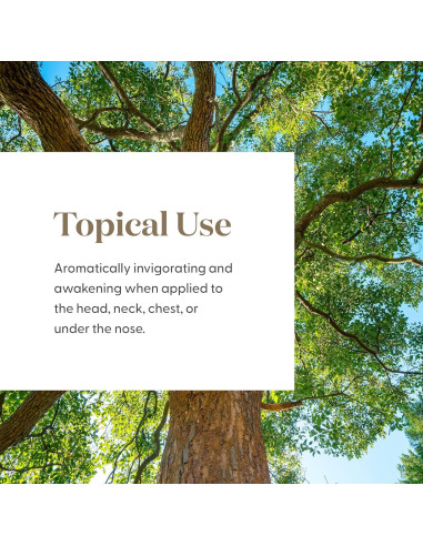 Aceite Esencial Ravintsara Young Living 5ml - Aroma Revitalizante