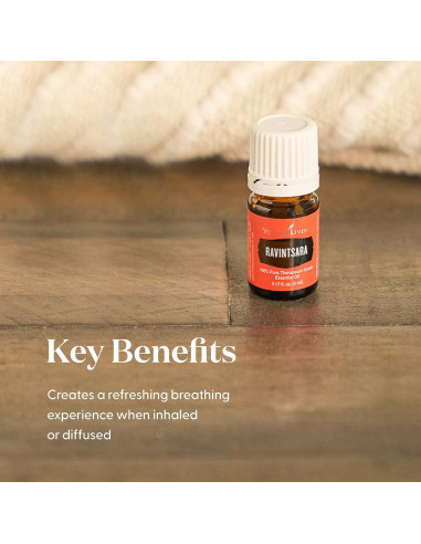 Aceite Esencial Ravintsara Young Living 5ml - Aroma Revitalizante