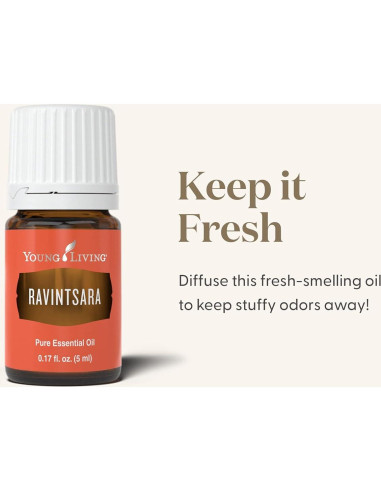 Aceite Esencial Ravintsara Young Living 5ml - Aroma Revitalizante