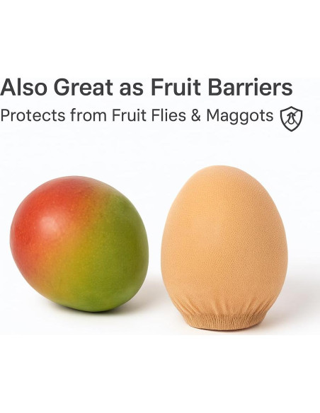 Calcetines Desechables de Cuero Hero - 72 Pares para Mujeres