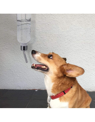 Botella de Agua para Mascotas Balacoo - Dispensador Sin Goteo 25cm