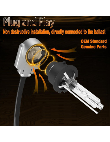 Bombillas D2S Xenón 6000K Xenooto para BMW X5 X3 2000-2006