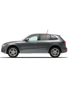 Cristal Ventana Puerta Trasera Izquierda Audi Q5/SQ5 2009-2017 2