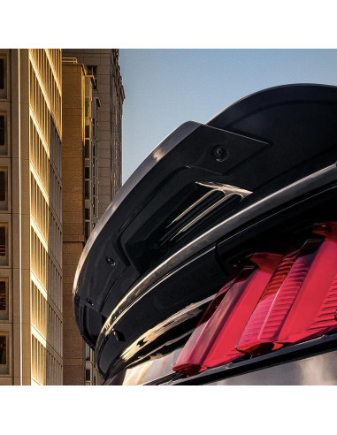 Alerón Trasero Negro Brillante ZZDSNJ Wicker Bill Mustang 2015-2020