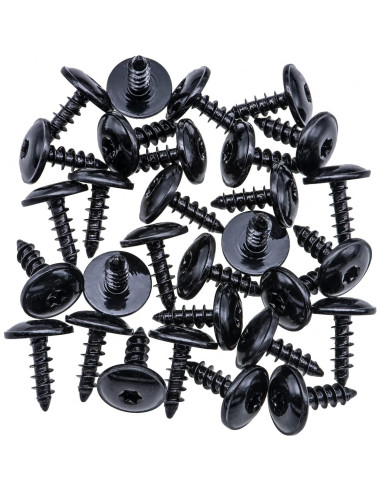 Tornillos de Guardabarros Rexka 30pcs M5x16mm para Audi y VW