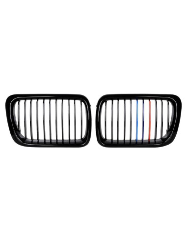 Rejillas de Parachoques Frontal BMW E36 3-Series 1997-1999