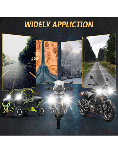 Luces de Niebla LED AUOKAY SK2 60W Ámbar/Blanco Impermeables