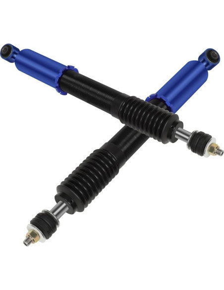 Amortiguadores Coilover Ajustables ASTOU para Ford Mustang 1994-2004